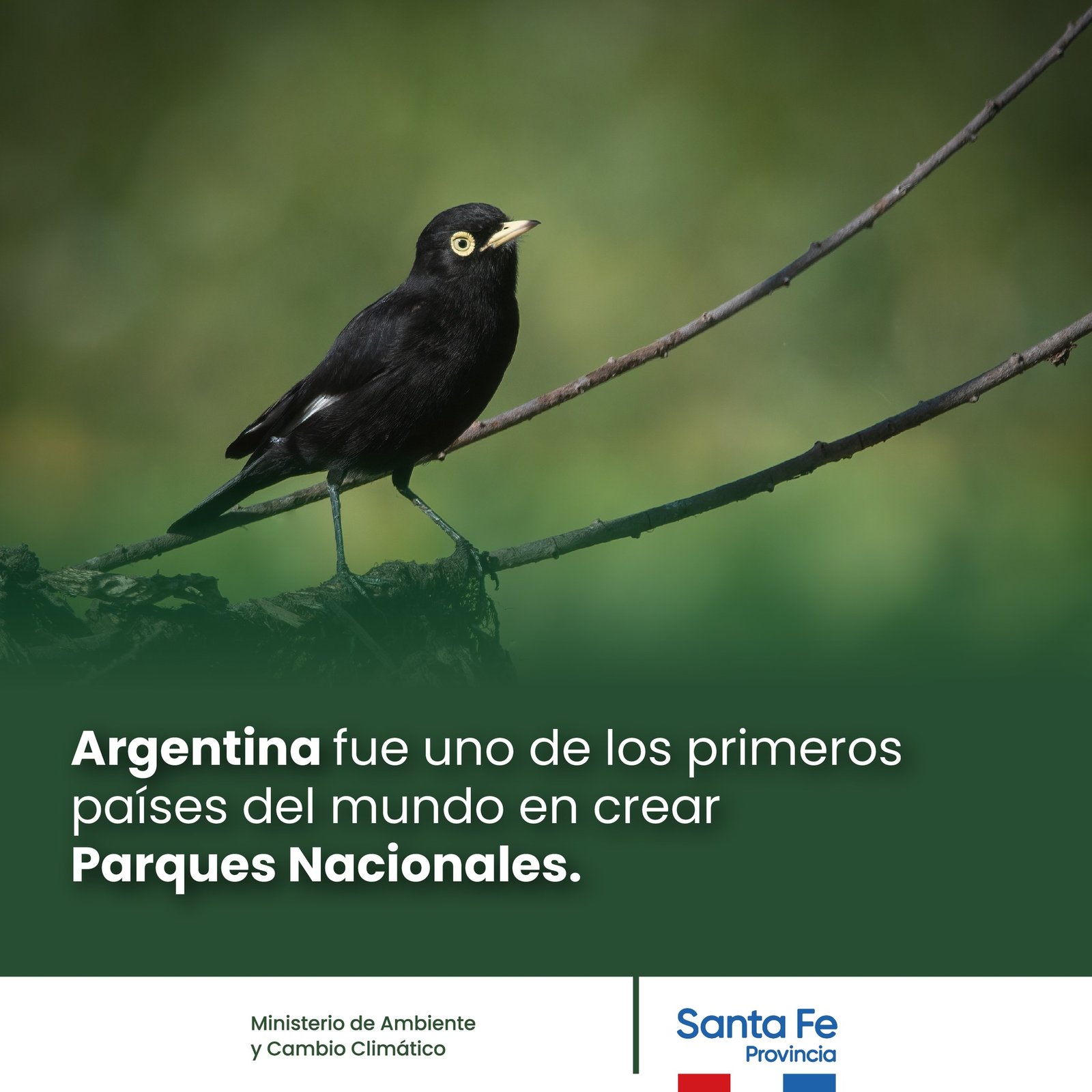 6 de Noviembre, Día de los Parques Nacionales – Radio María Juana | FM ...
